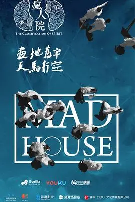 《疯人院》：逃离癫狂的艺术救赎，一部直击灵魂的音乐纪录片震撼解读